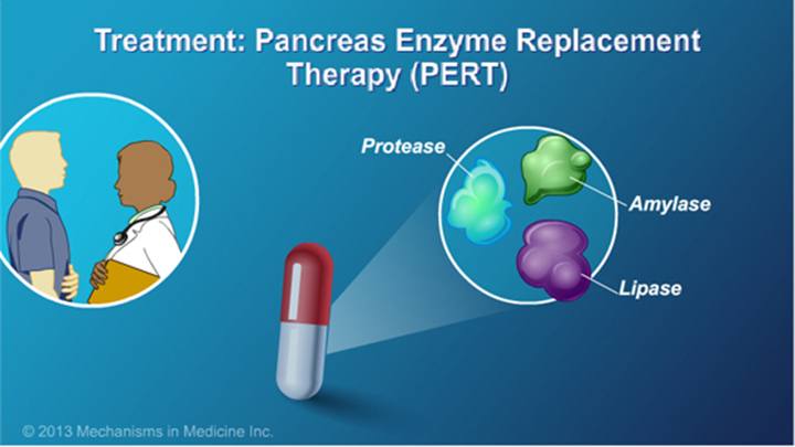 Treated mean. Enzyme Therapy. Enzymes in Medicine. Пролекарственная энзимная терапия (Adept). Pancreatic Enzymes Replacement Theraphy.